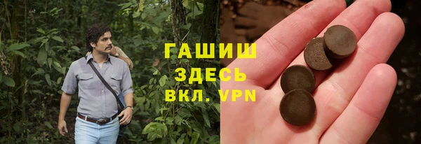 хмурый Арсеньев