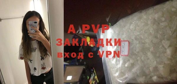 хмурый Арсеньев