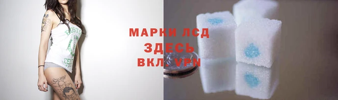 хмурый Арсеньев