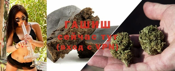 хмурый Арсеньев