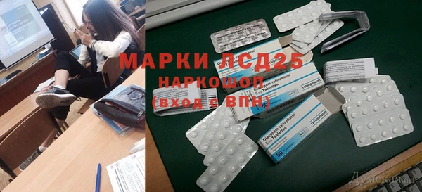 хмурый Арсеньев